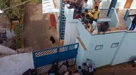 karadi 8